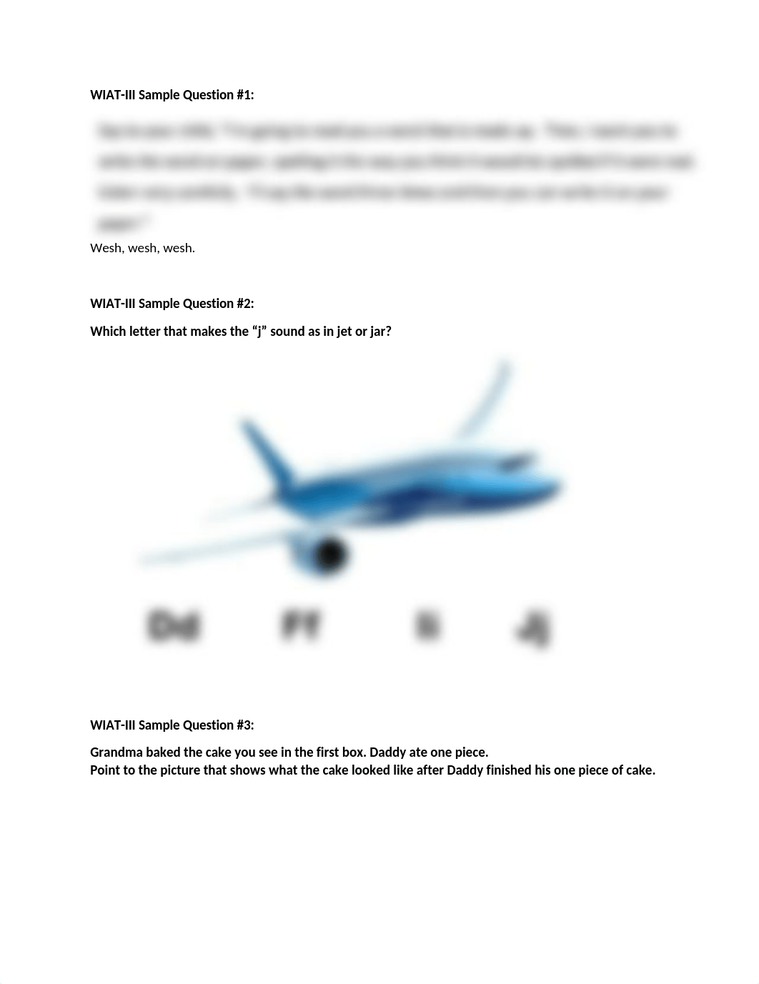 WIAT sample questions(3).docx_det9kvt2zk8_page1