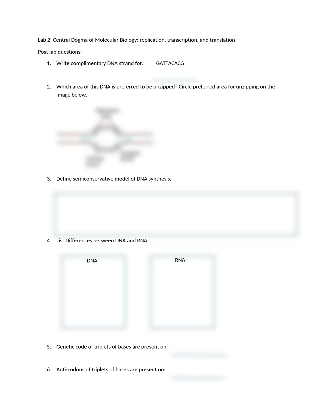 LAB 2 POST LAB QUESTIONS.docx_detl20u655t_page1