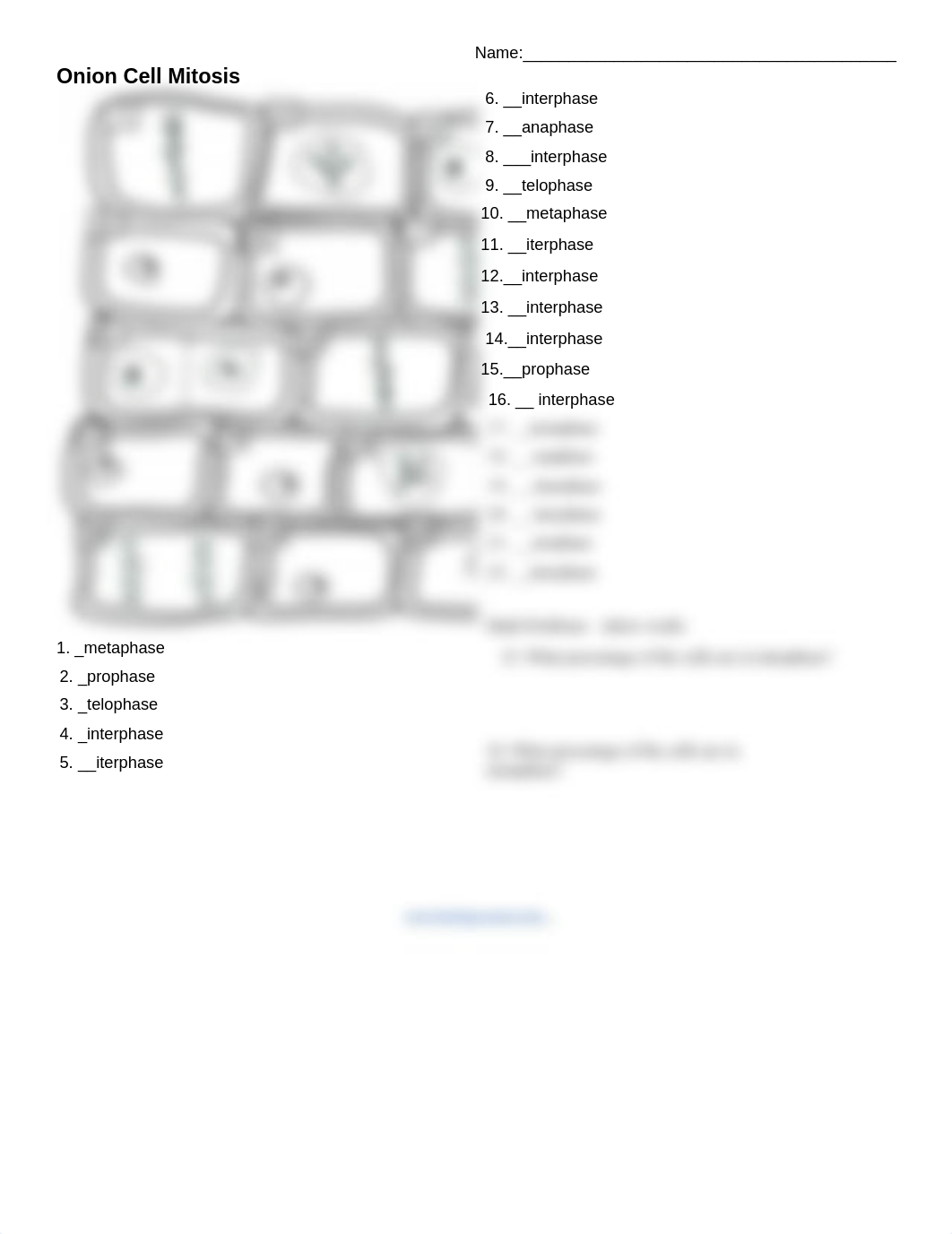 Fabian CardenasBarreiro - Onion Cell Mitosis.docx_detq0sfya6i_page1