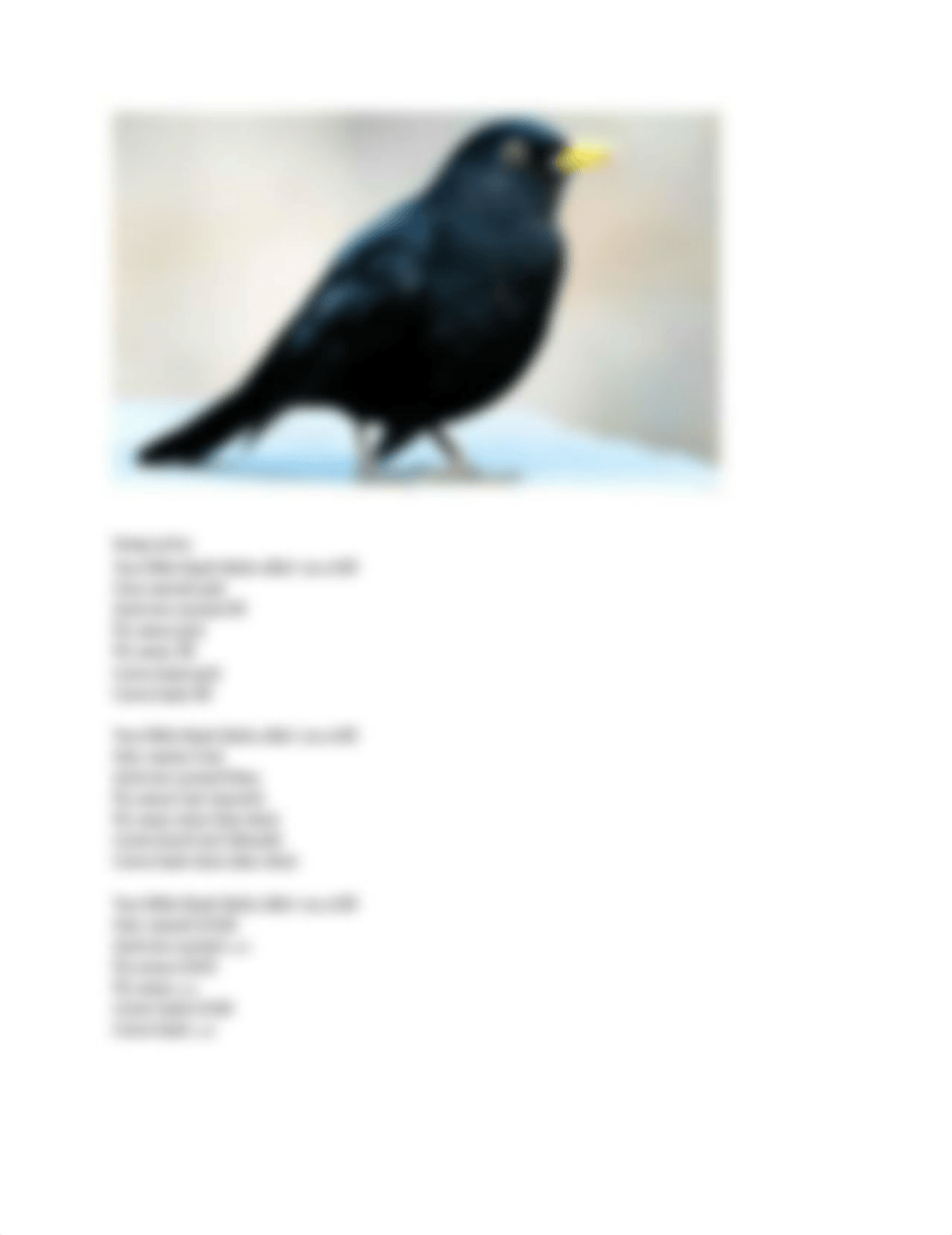 Finger Play Song Lesson Plan- Two little black birds.docx_dettznnyq4t_page2