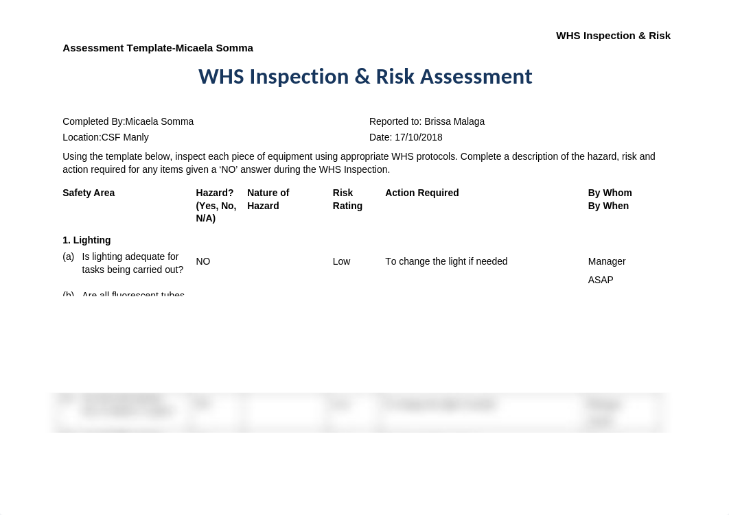 CSF WHS Inspection Risk Assessment Template.doc_detx9xoaqzx_page1