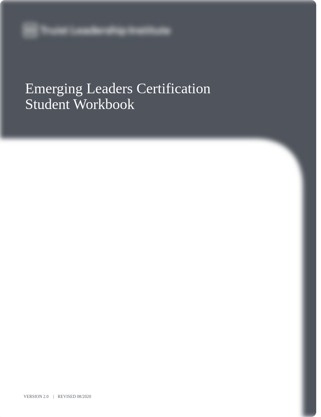 Emerging Leaders Workbook.pdf_detzb2456tv_page1