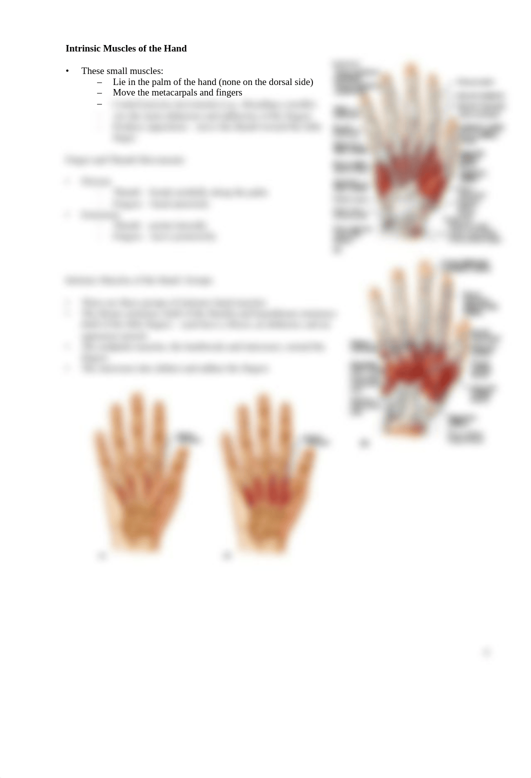 BIO_2113__Lab_5_Modified_Limb_Muscular_S_deu55rma02u_page4