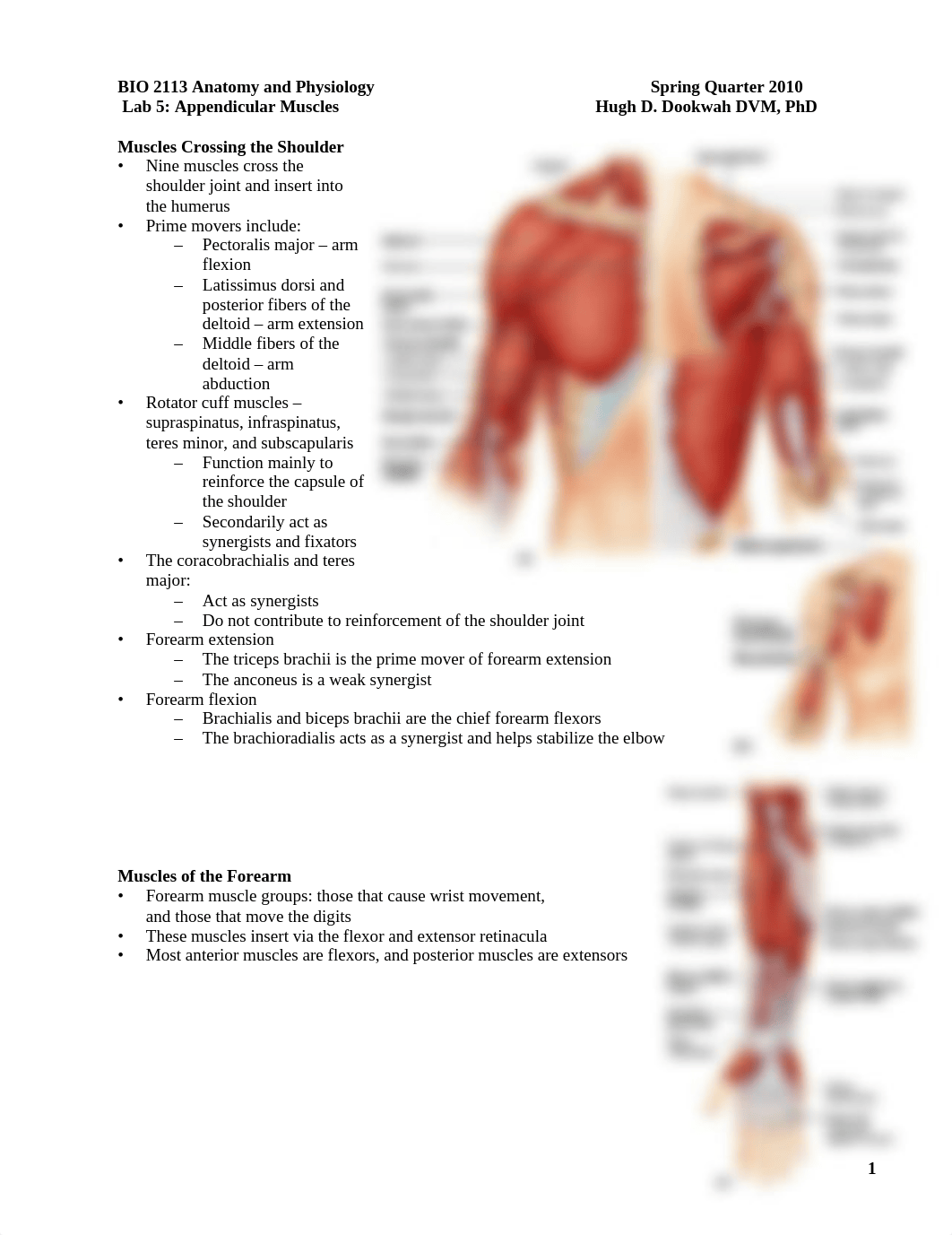 BIO_2113__Lab_5_Modified_Limb_Muscular_S_deu55rma02u_page1