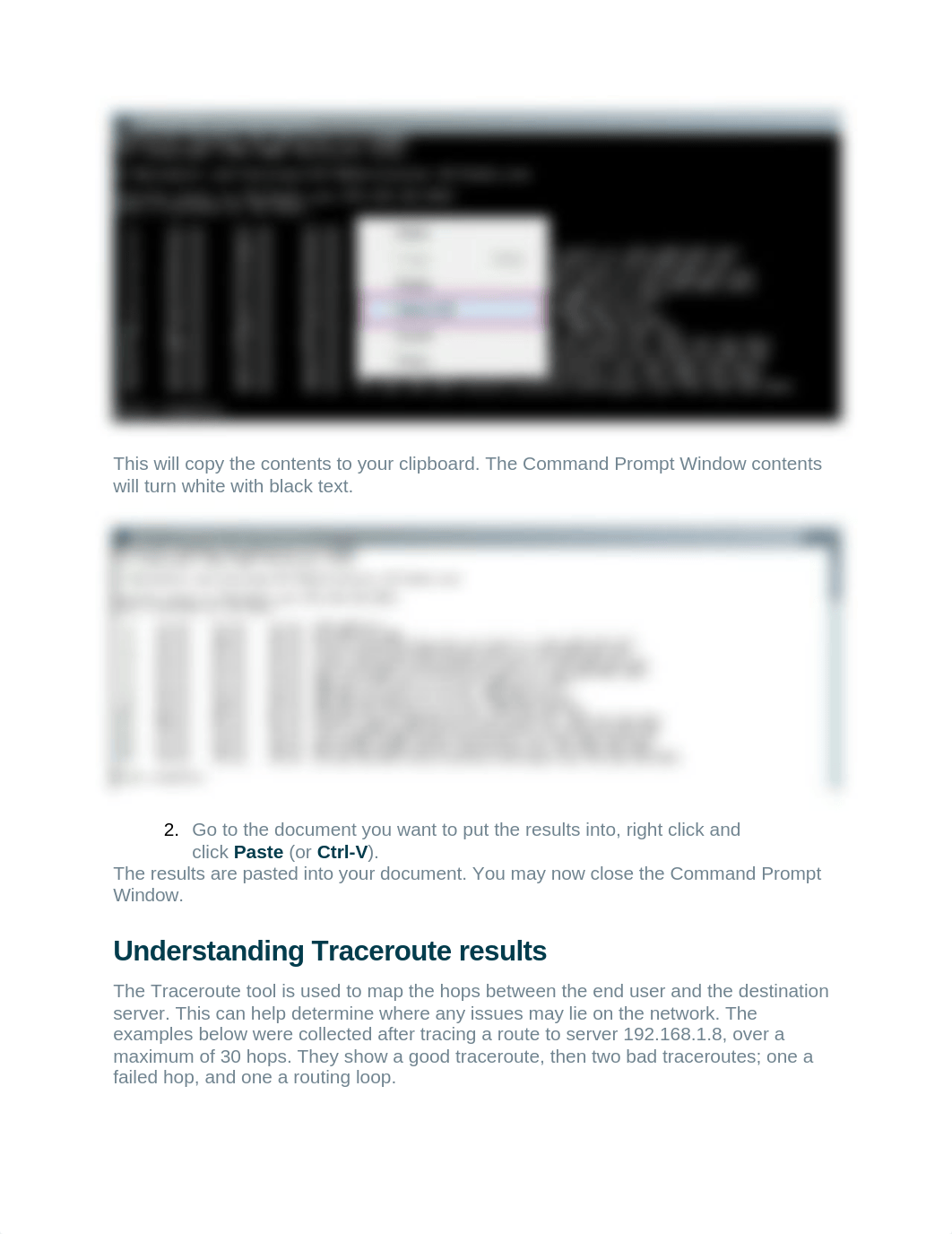 Using Traceroute.docx_deuj7okv4c7_page2