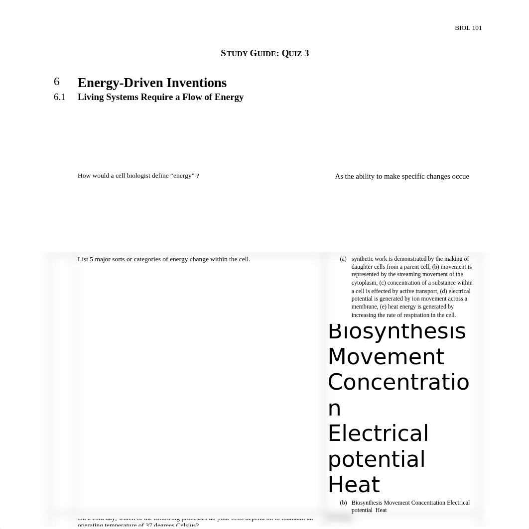 Study_Guide_Quiz_3(1).docx_deukd96g4sr_page1