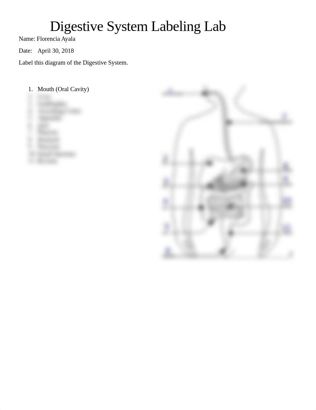 Digestive system labeling lab F.ayala .docx_deulc50jkfj_page1