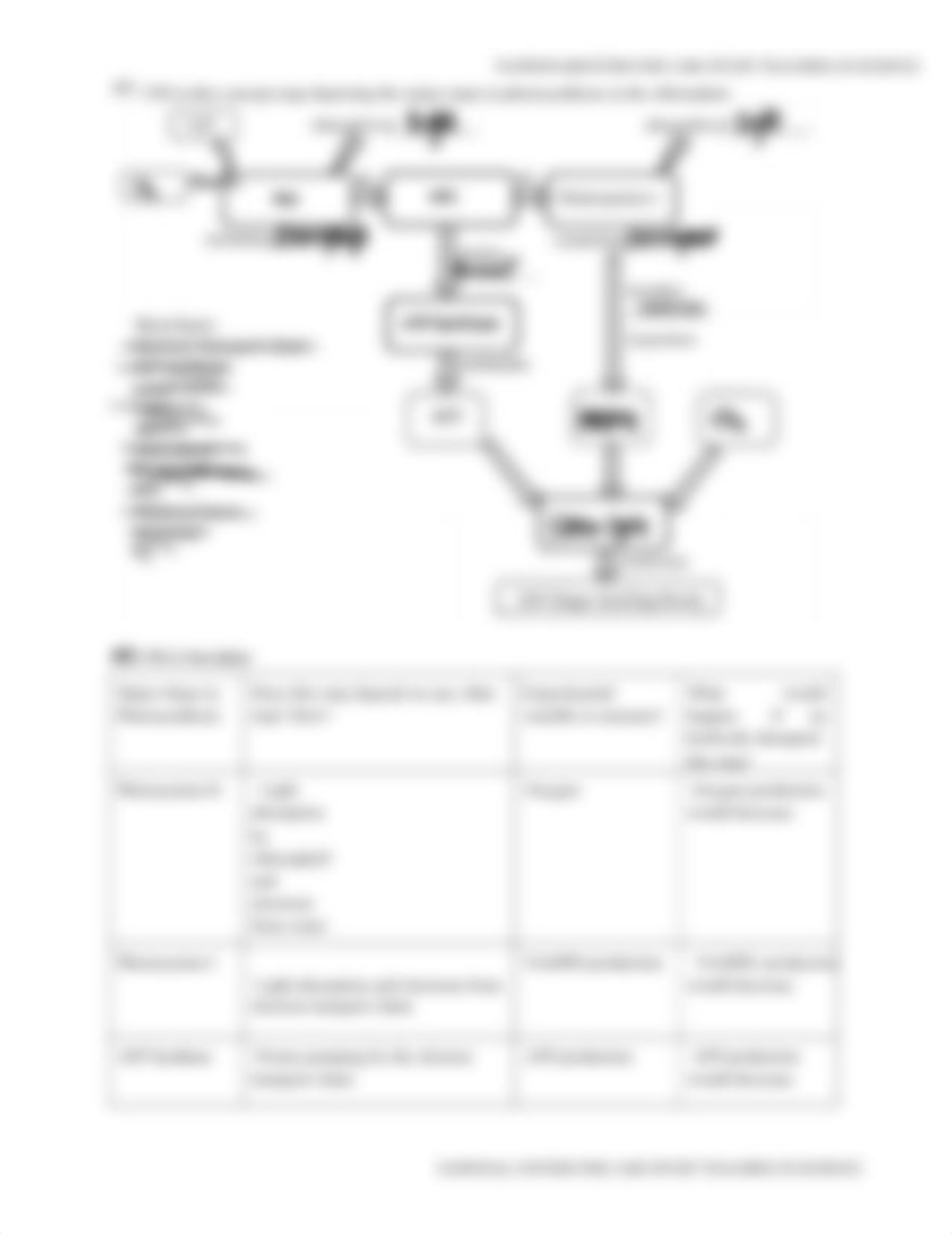 110 Killing Chloroplast Case Study conpleted2.docx_deurfkznas3_page3