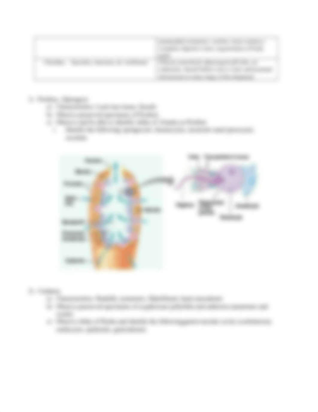 BI 132-Lab #5-Inverts.docx_deuyrsp55nr_page2