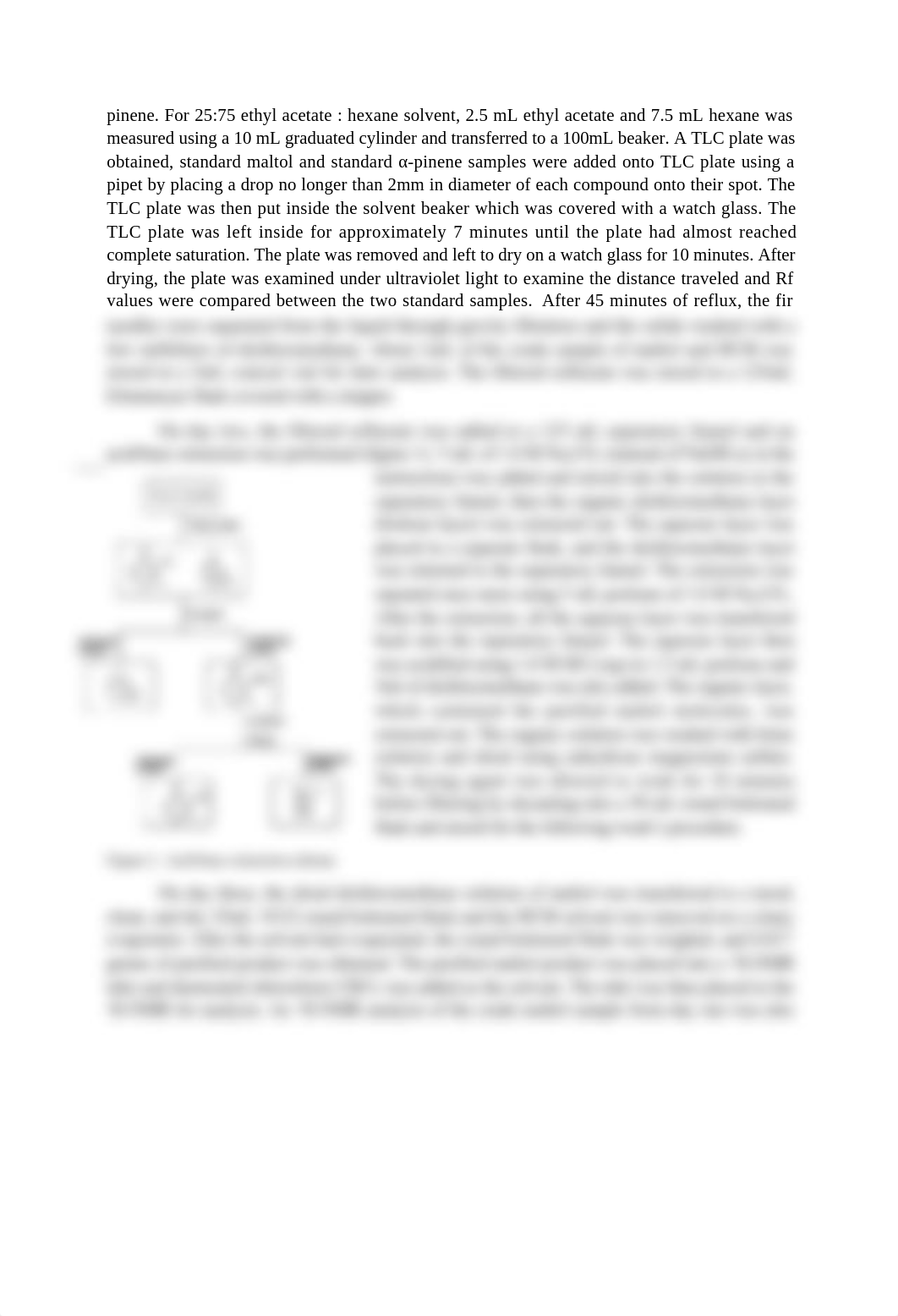 Maltol Lab report - Ny Luong.docx_deuziuqhlxg_page2