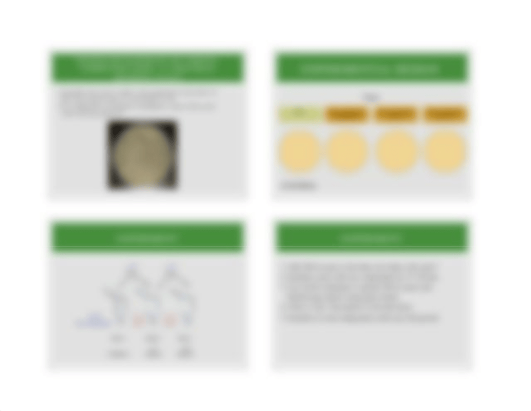 B1105 Lab 4 Yeast Mutagenesis .pdf_dev1ccmv3xz_page3