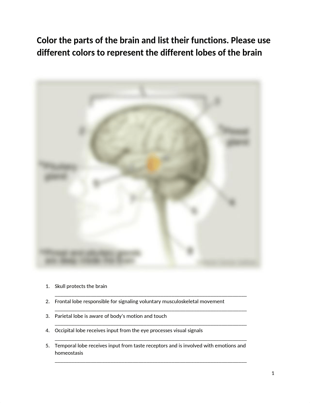 Week+3+Color+the+parts+of+the+brain+and+list+their+functions copy.docx_dev47jh9dyp_page1