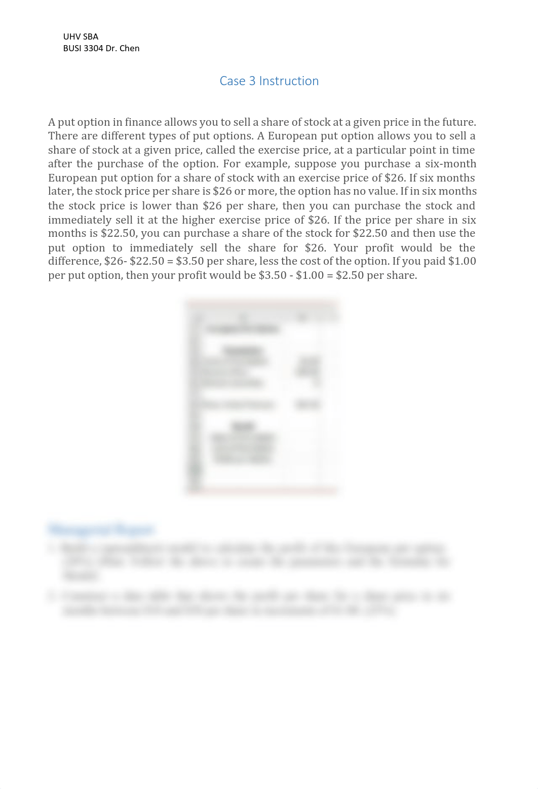 Case 3 Instruction_Financial Options(2).pdf_dev7l8blih5_page1