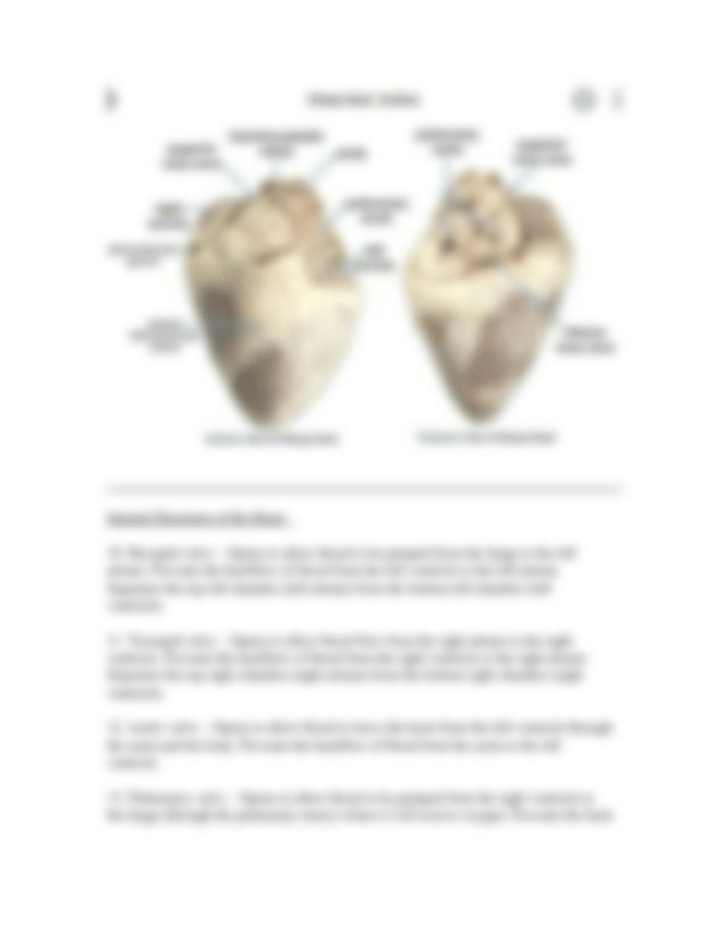 Heart Lab Report.docx_dev8qcm784q_page2