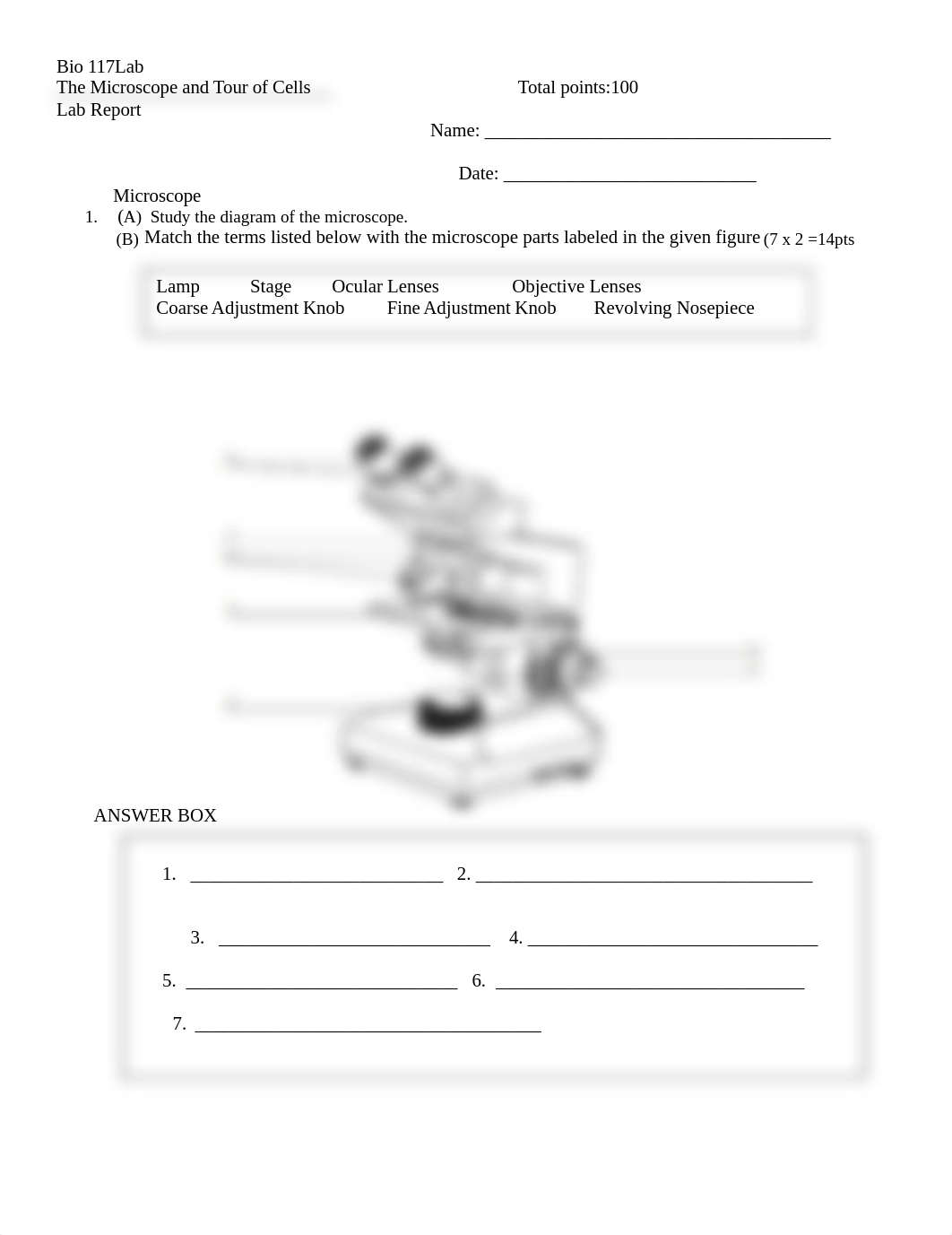 bio 117 lab 4 report microscope (4) (3).doc_devotqg1yww_page1