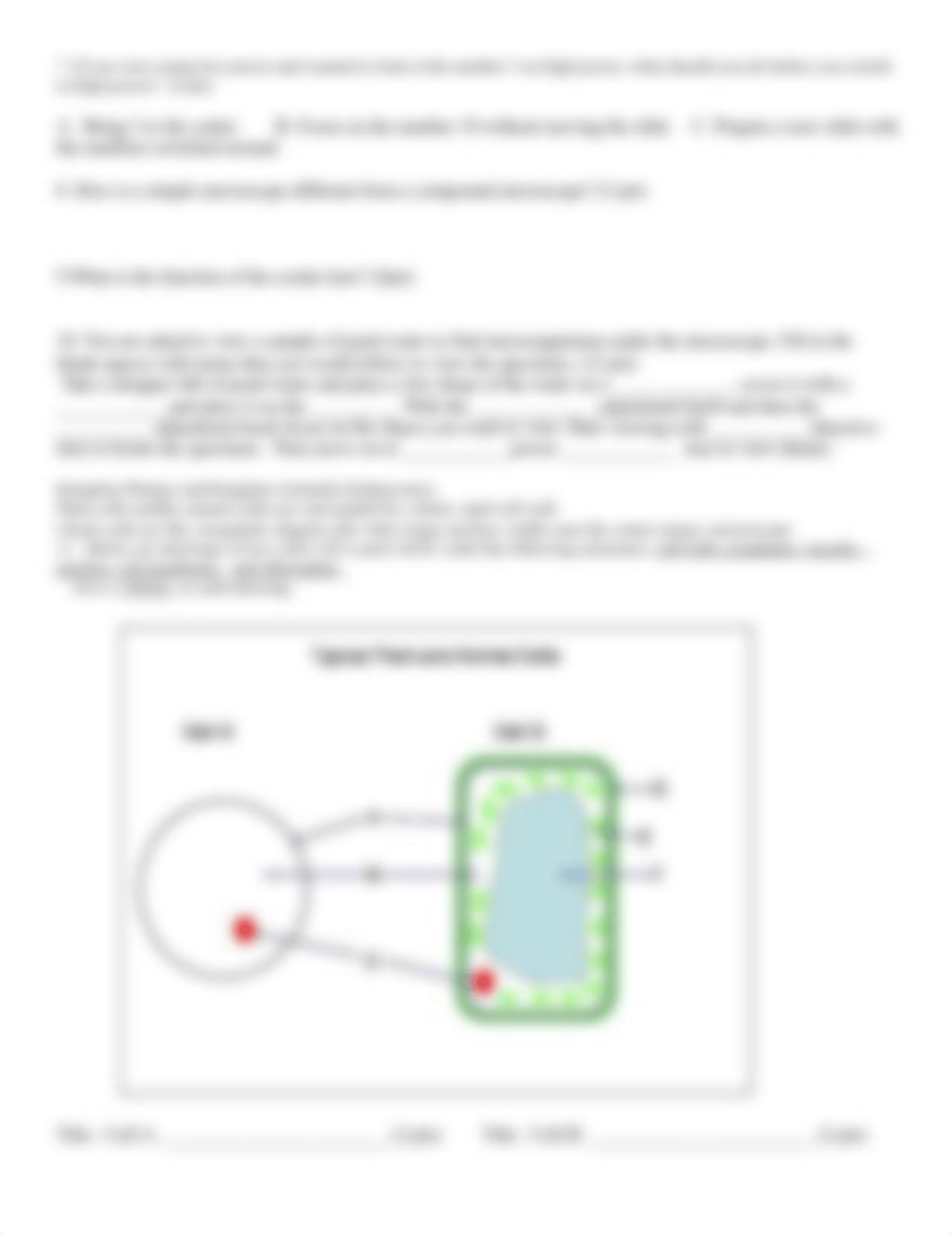 bio 117 lab 4 report microscope (4) (3).doc_devotqg1yww_page3