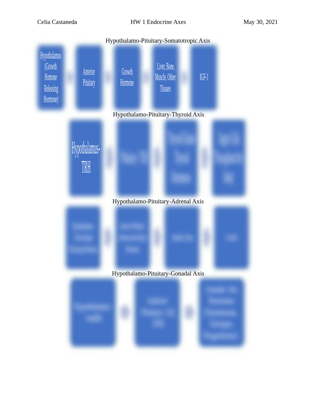 HW 1- Endocrine Axes .docx_devrvkgegdn_page1