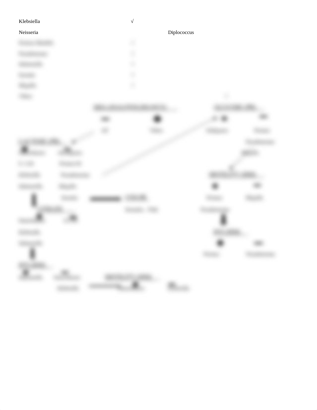 Dichotomous key morphological unknown project.docx_devuecov7aj_page2