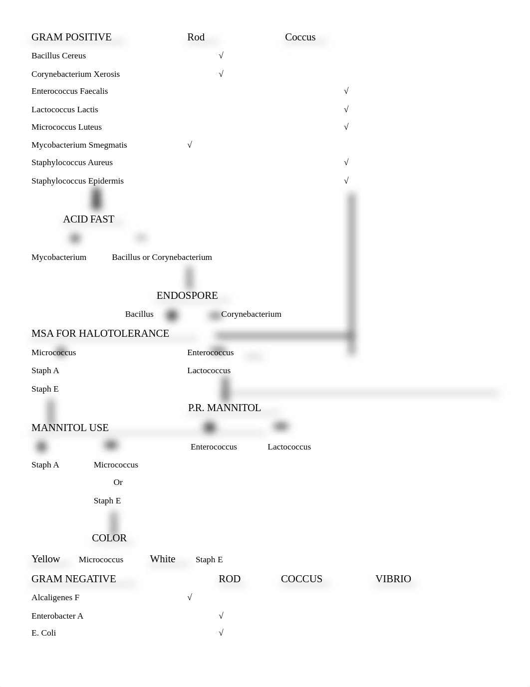 Dichotomous key morphological unknown project.docx_devuecov7aj_page1