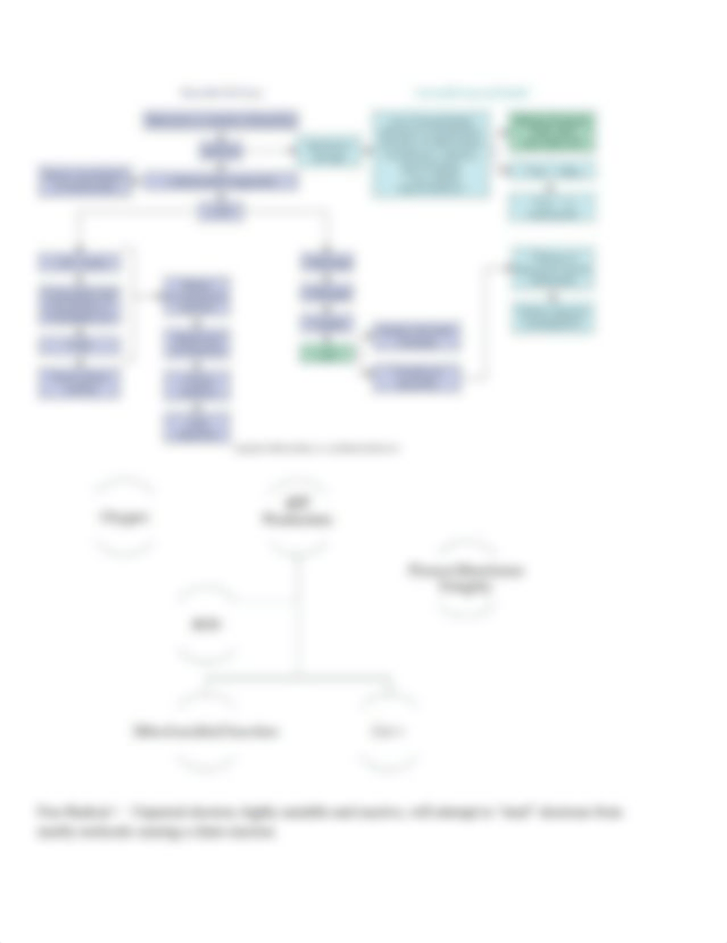 Exam 1_ Patho Cellular Regulation & Infection.pdf_devy58n831k_page4