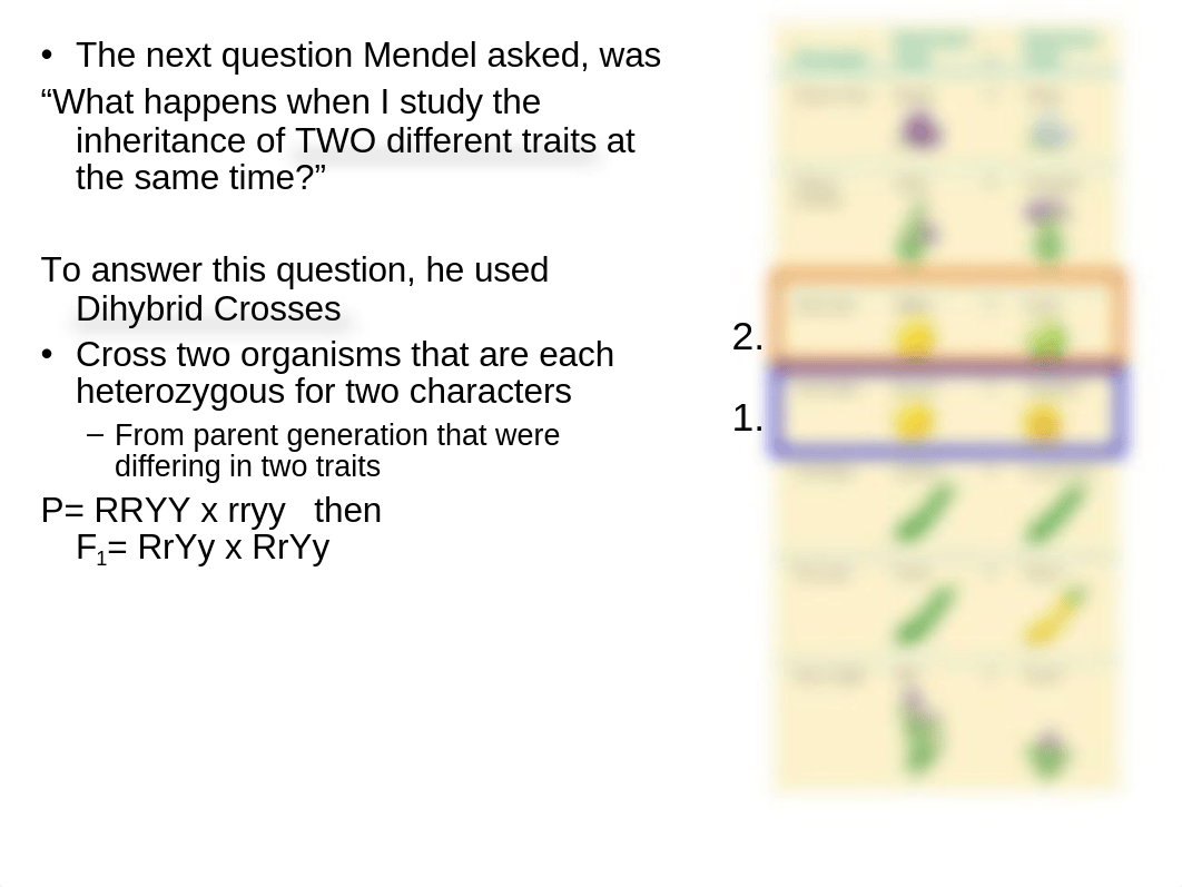 BIOL160_F19_Ch9part2.ppt_devytj46qk1_page2