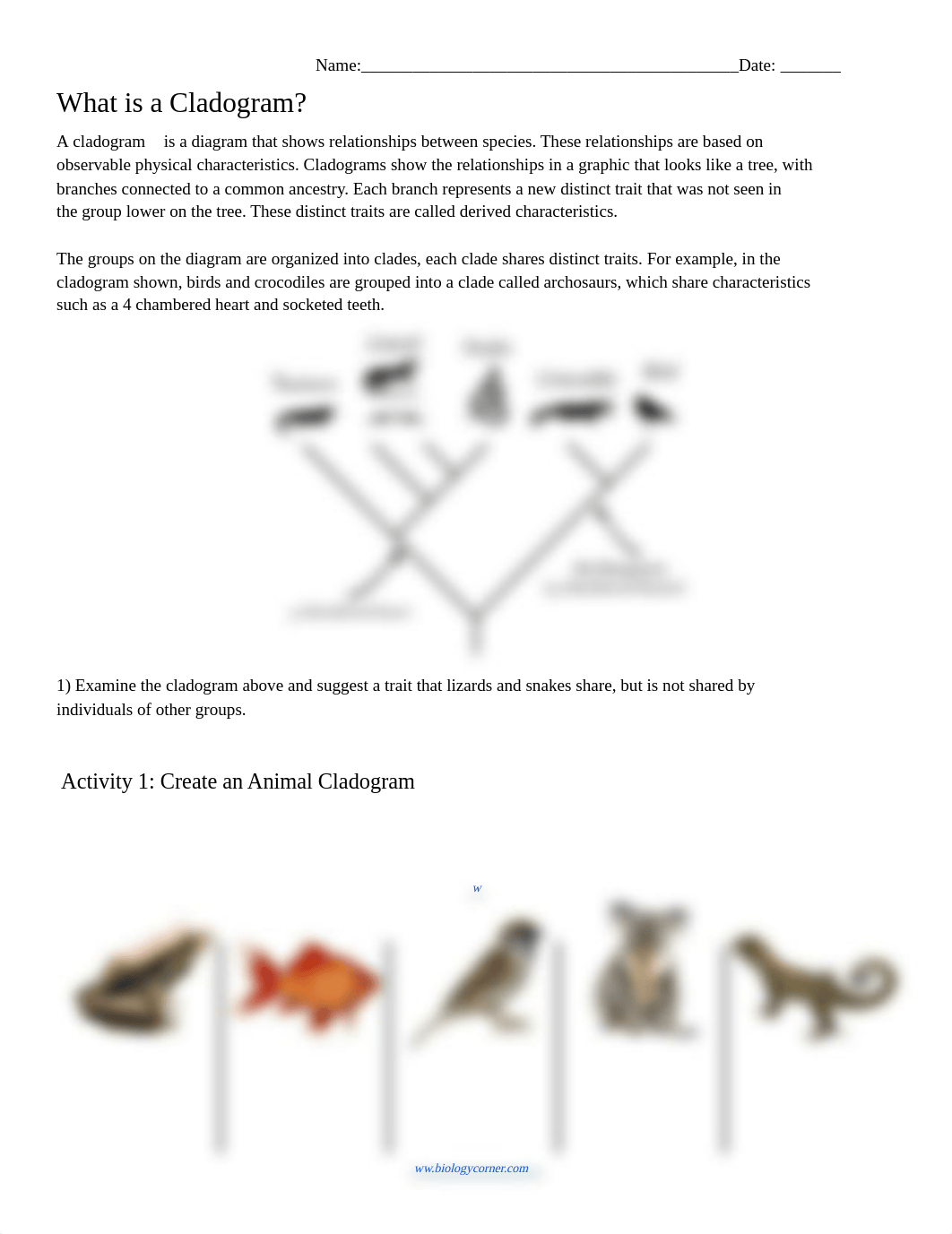 Copy of What is a Cladogram_.pdf_devztj3yx8d_page1