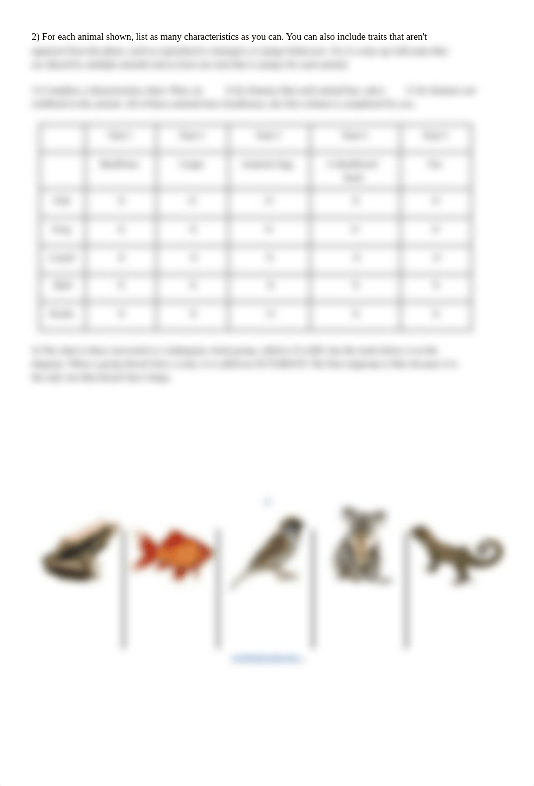 Copy of What is a Cladogram_.pdf_devztj3yx8d_page2