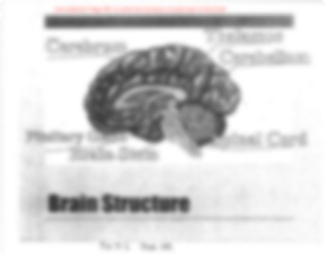 Brain Structure Figure 9-2.pdf_dew0pzp6lx6_page1