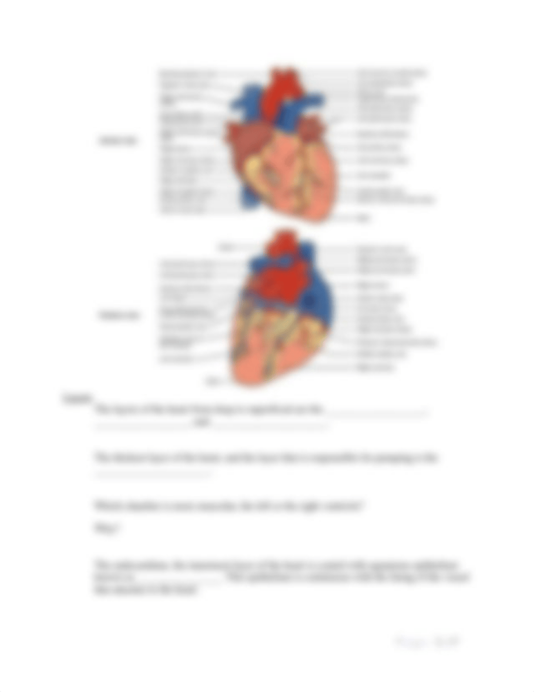 BIO 202 Chapter 19 assignment OPS.docx_dew3izyryl2_page3