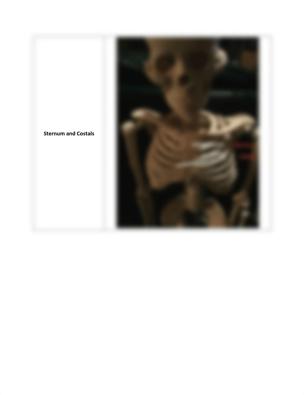 Overview of the Skeletal System_RPT.pdf_dewavim9111_page5