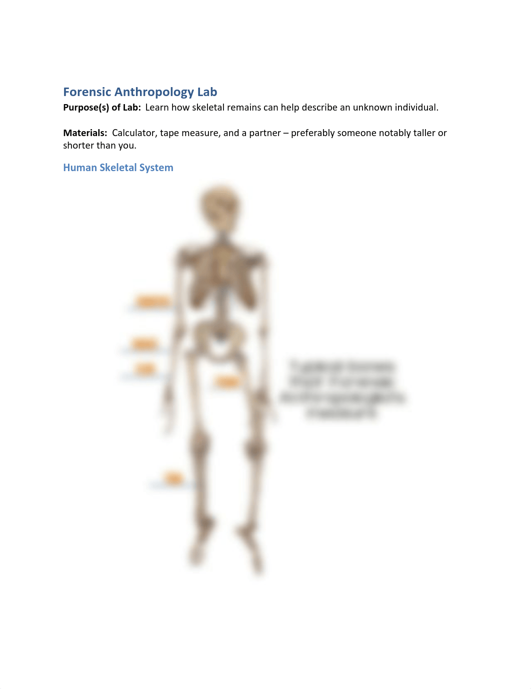 Forensic Anthropology Lab.pdf_dewe5a36ds8_page1