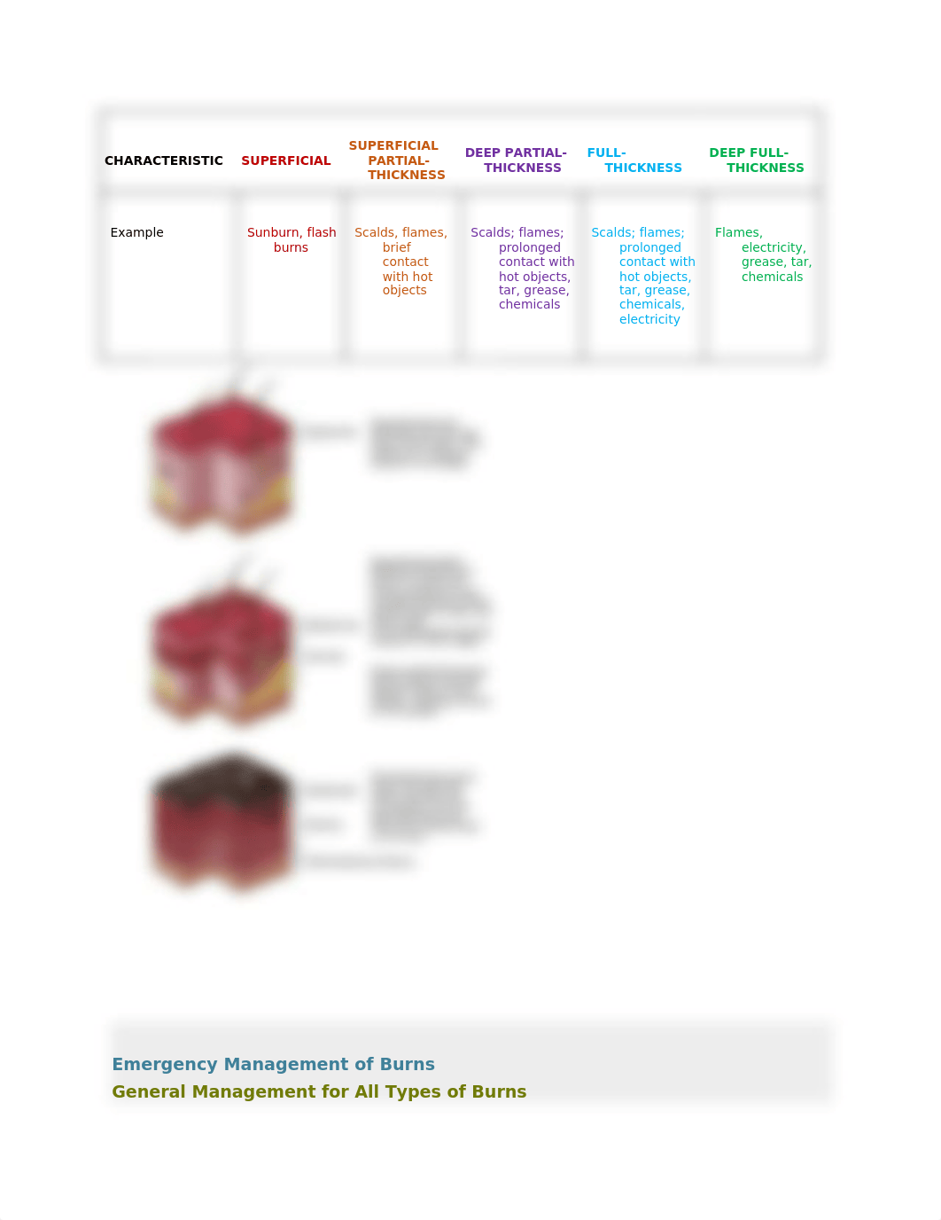 Exam 3 review.docx_dewg11z4djj_page2