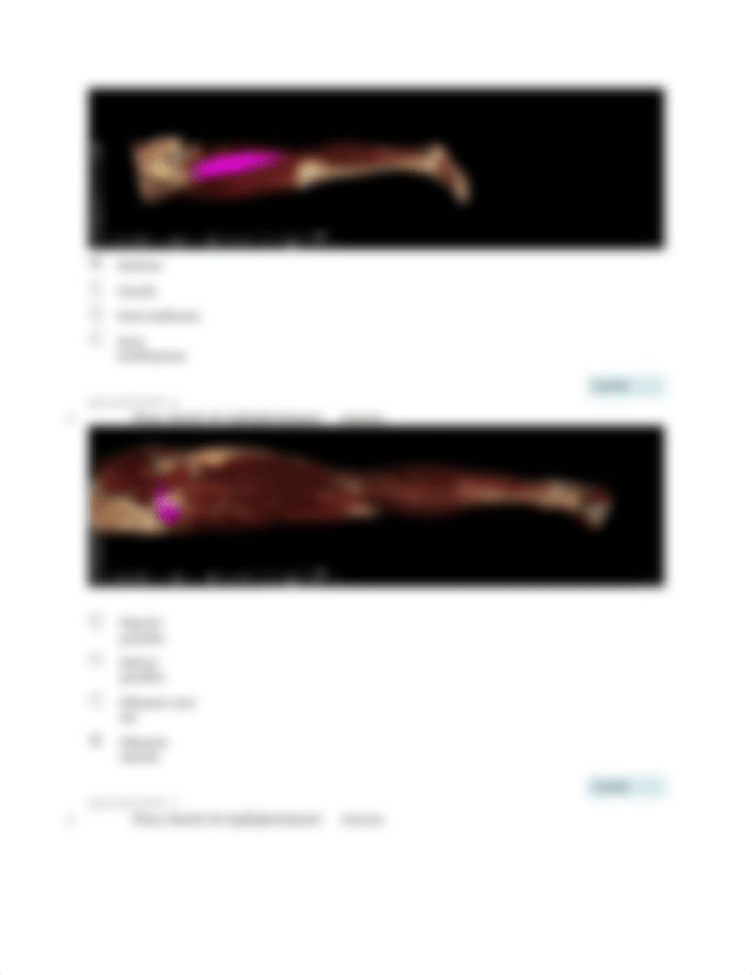 quiz week 9.docx_dewo007jydq_page3