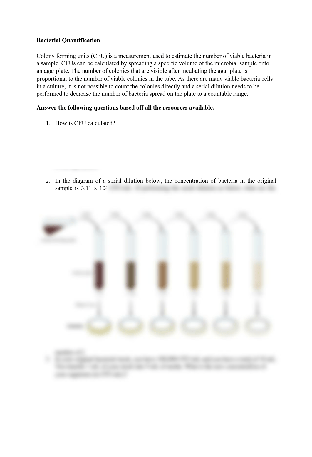 Bacterial Quantification Follow-up Assignment (2) (1).pdf_dex1ryl0pjr_page1