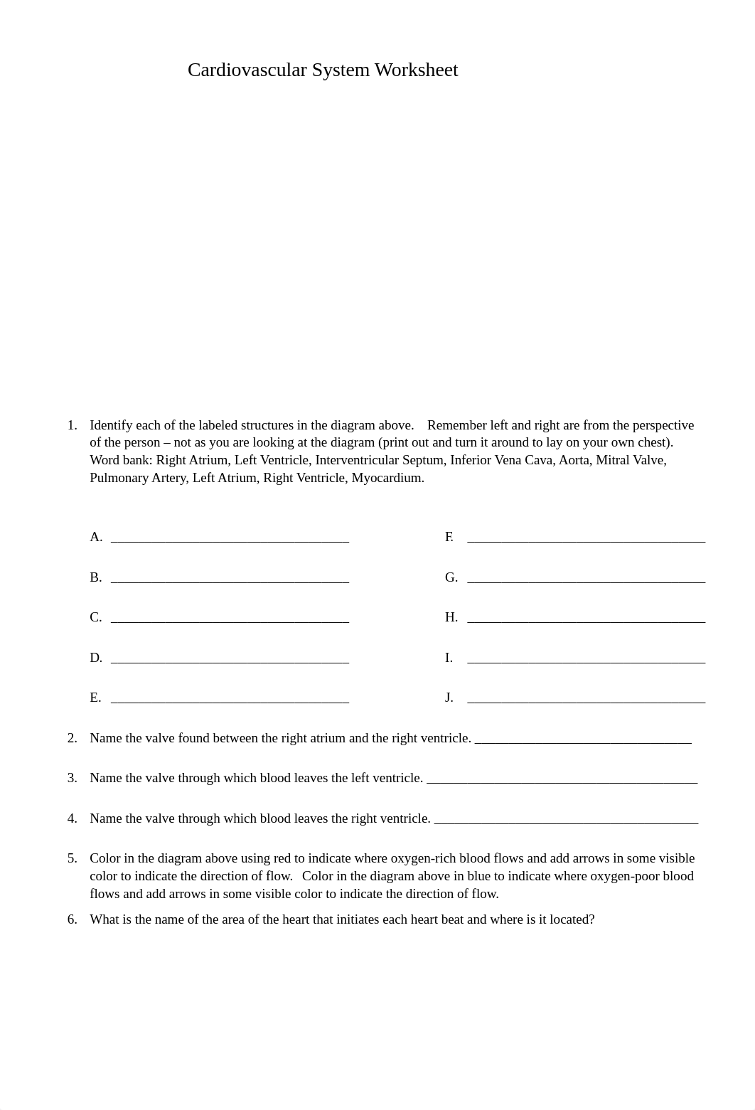 Cardiovascular System Worksheet-1.docx_dex5hm9cz2f_page1