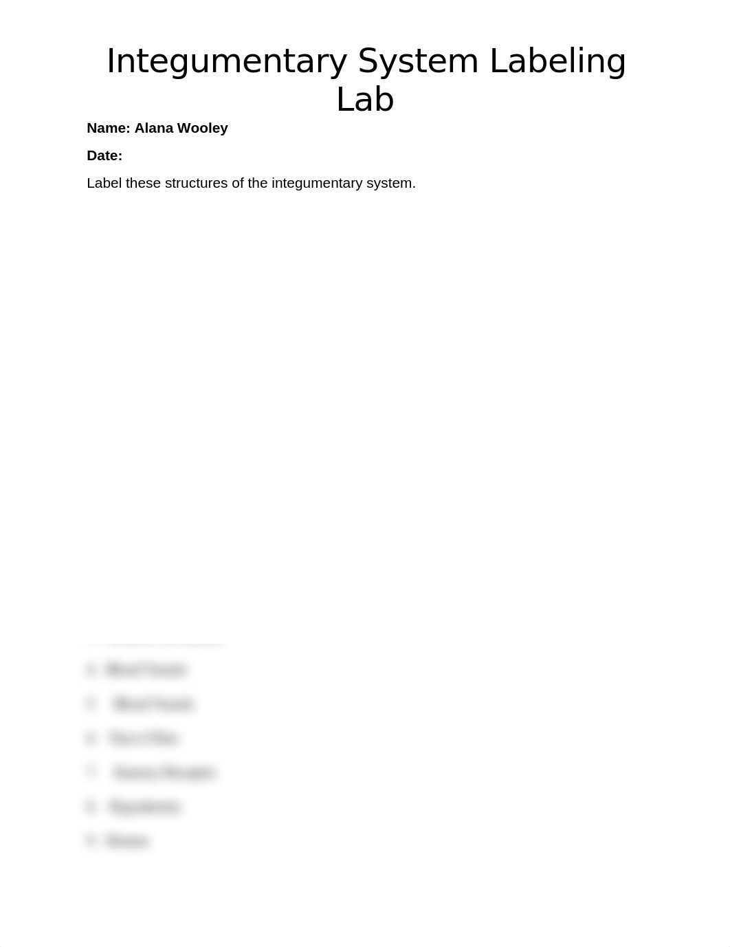 Integumentary System Labeling Lab AW.docx_dex7d4nust0_page1