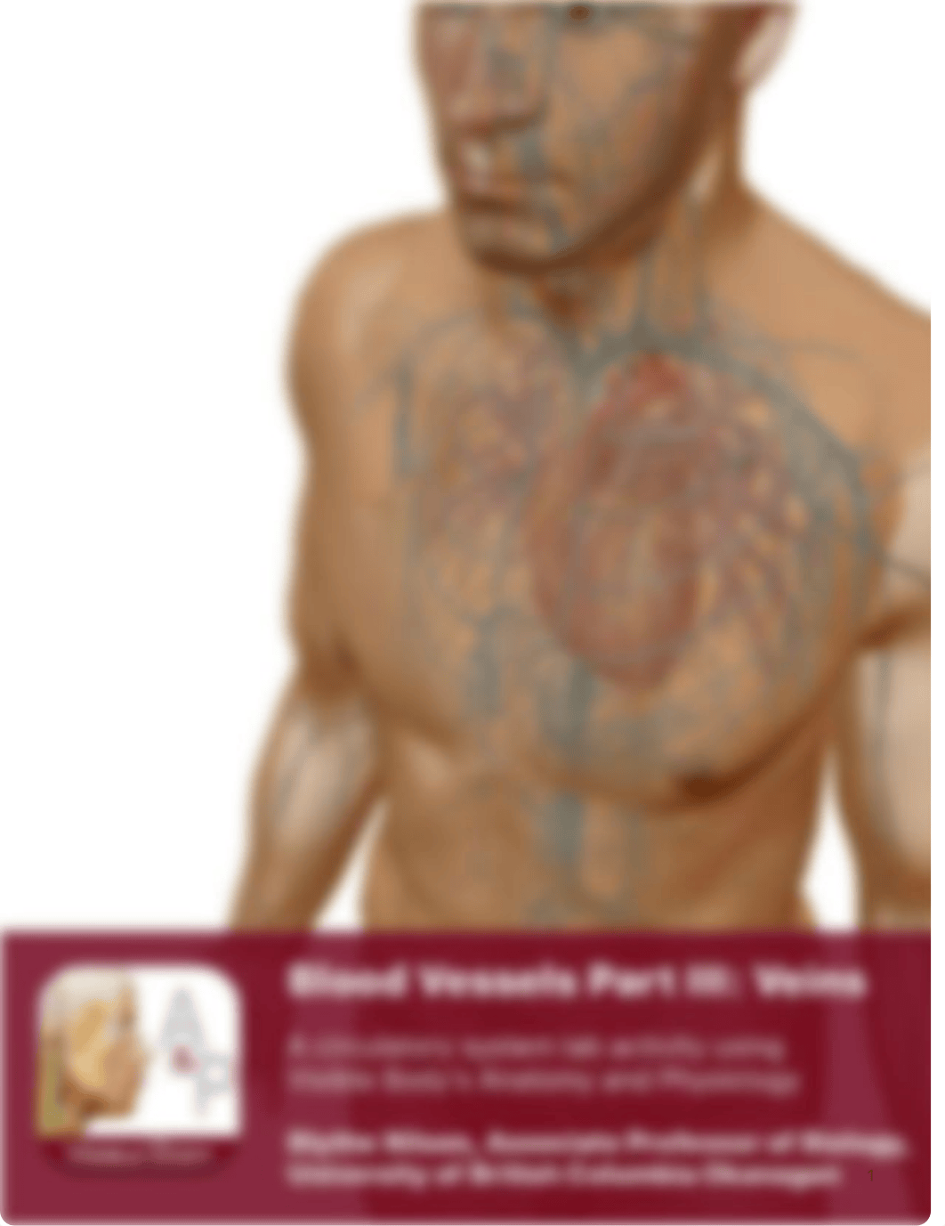 Lab_Activity_-_Blood_Vessels_III.pdf_dexc4417wdw_page1