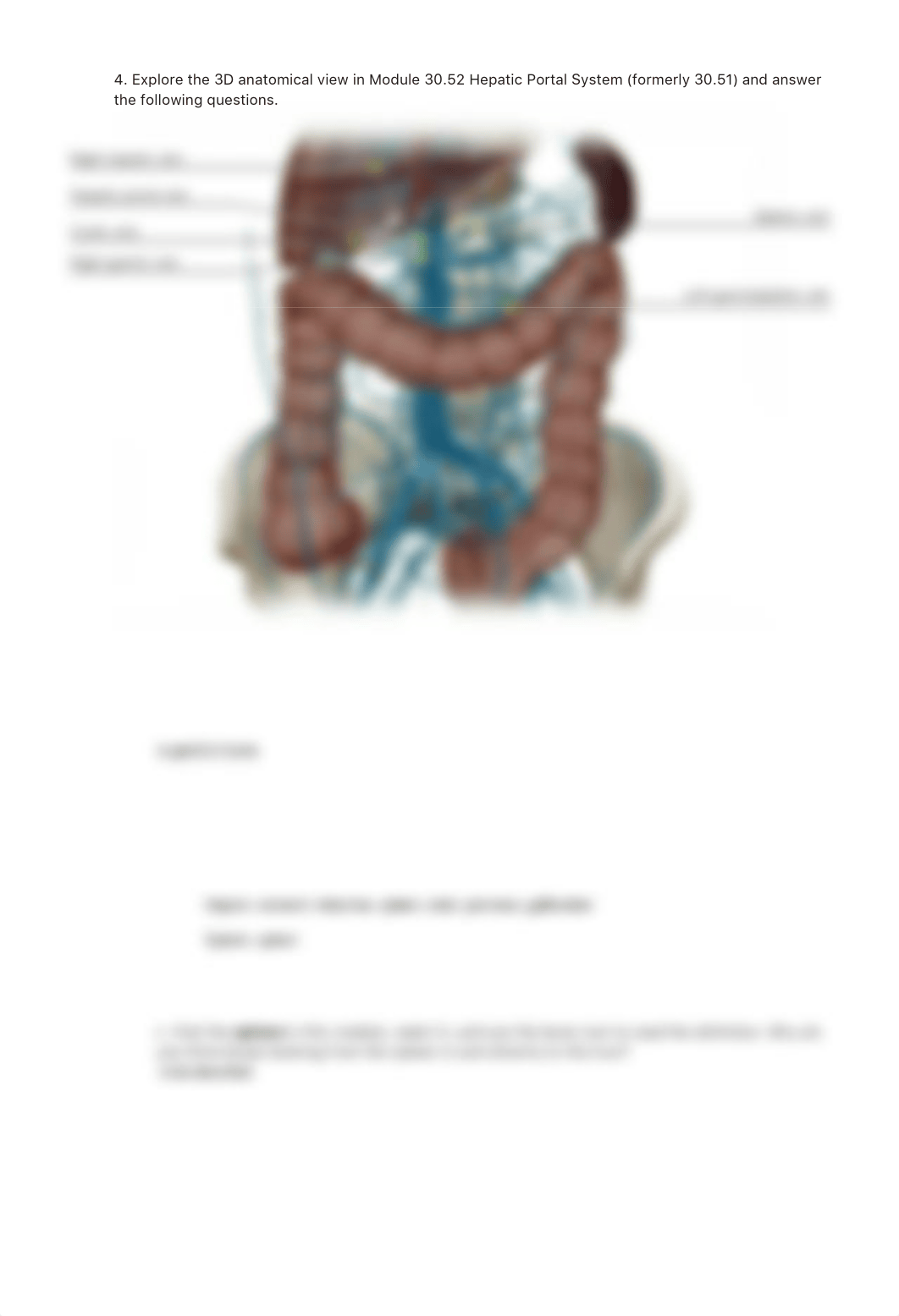 Lab_Activity_-_Blood_Vessels_III.pdf_dexc4417wdw_page4