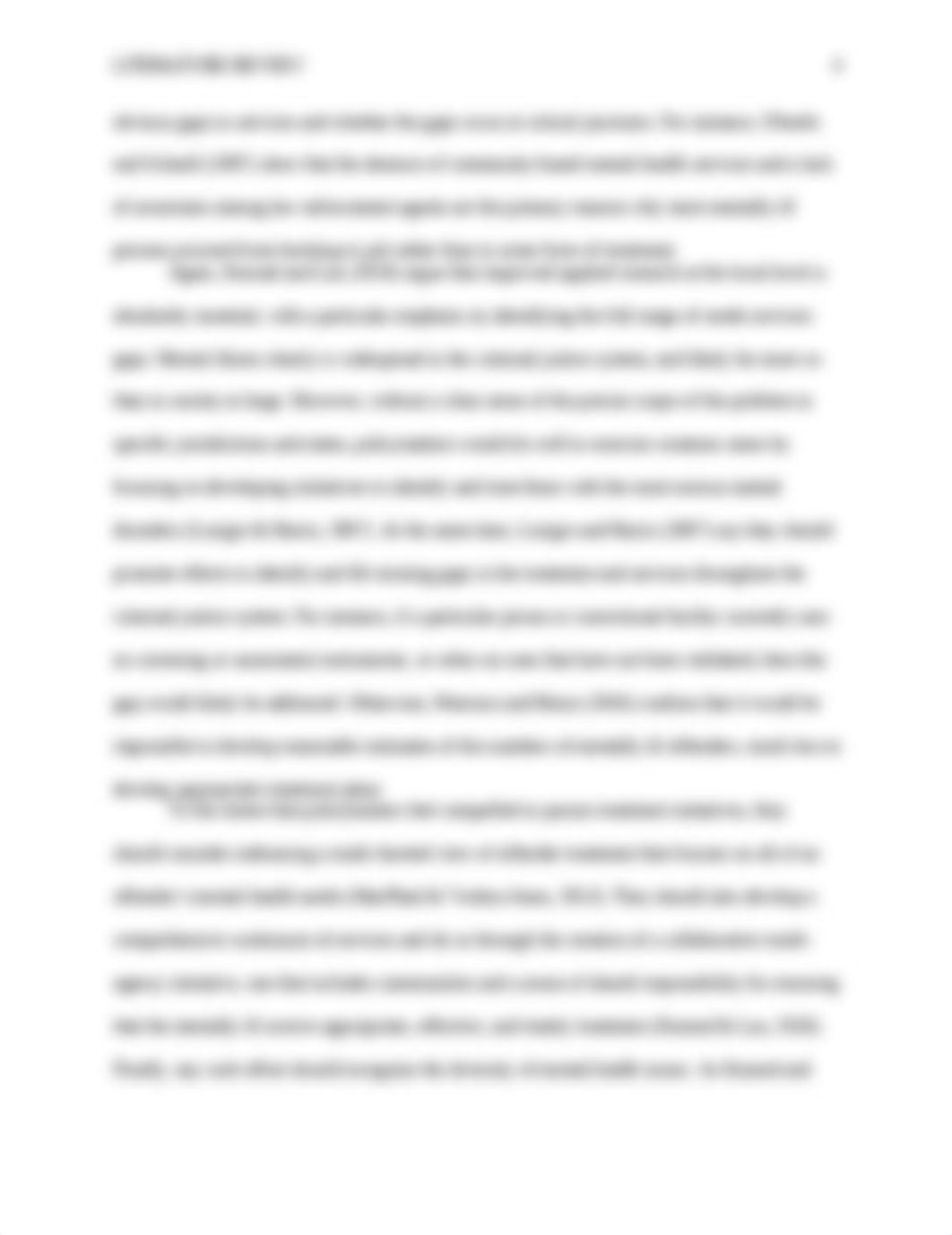 Literature Review.docx_dexjdynd55r_page4