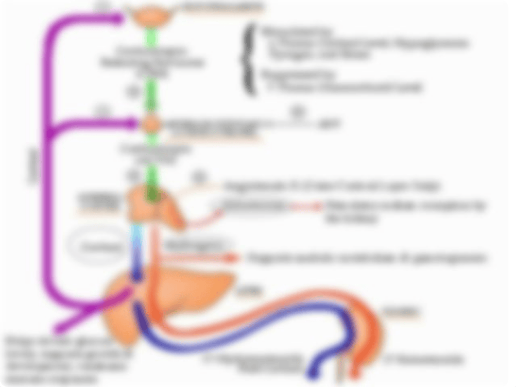 ADRENOCORTICOSTEROIDS 2015.ppt_dexsr99v4ia_page3