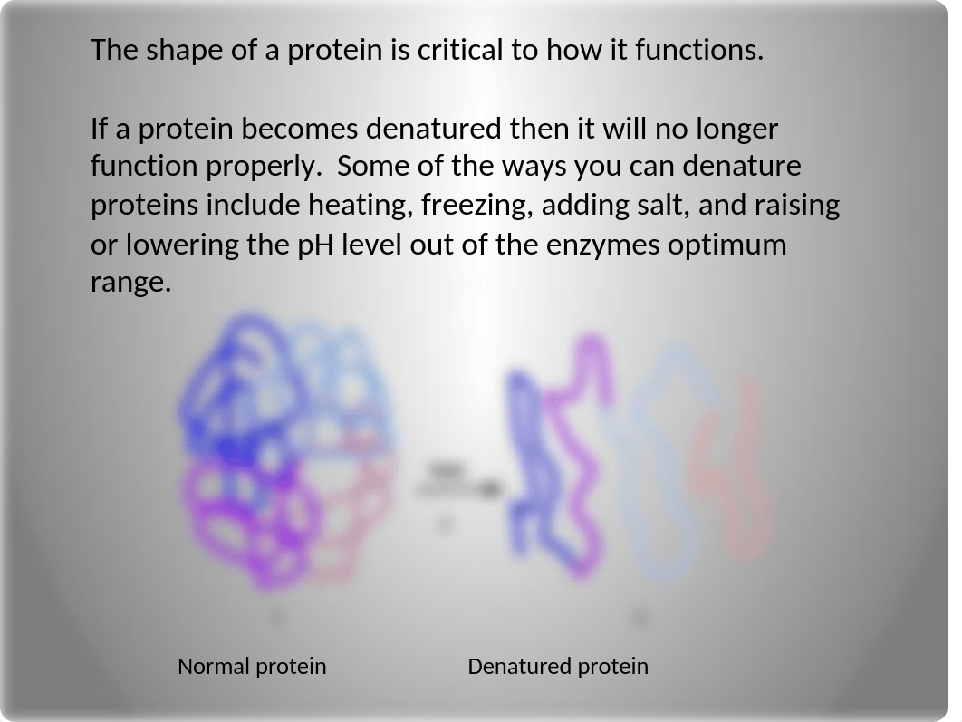 Enzymes Lab.pptx_dexswofqs4w_page5