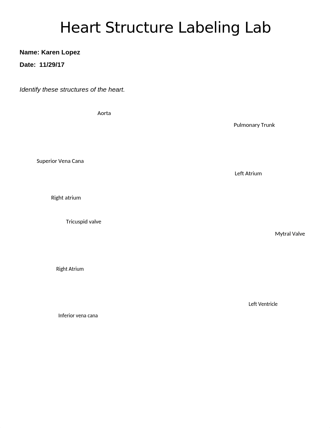 Lab_HeartStructureLabeling_20171109_AH101.docx_dey1i3oibqe_page1