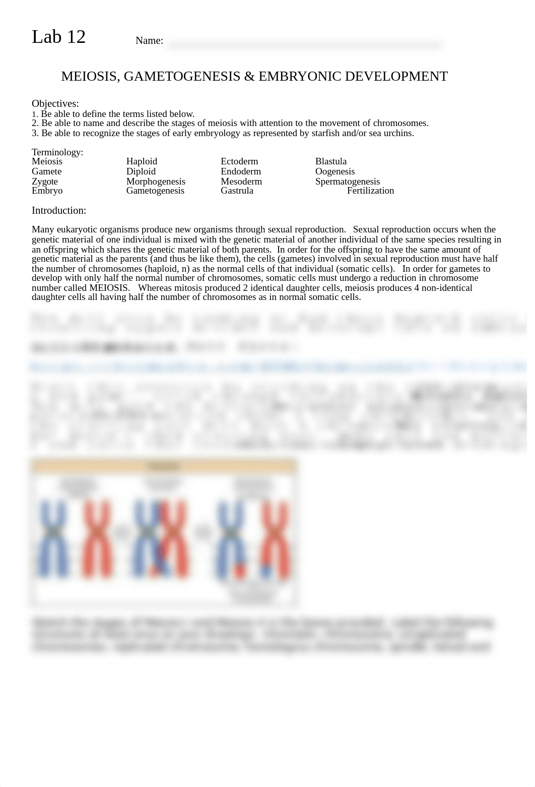 H Bio 101 Lab 12 Meiosis.doc_dey8p811z9x_page1