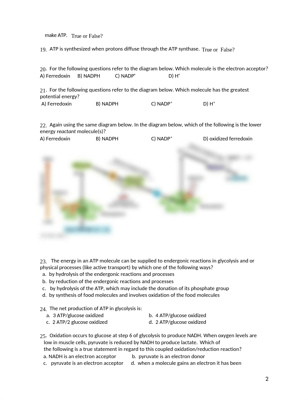 Biol 105 Test 3,prep  Sum 2019(1).docx_deyammkxv0l_page2