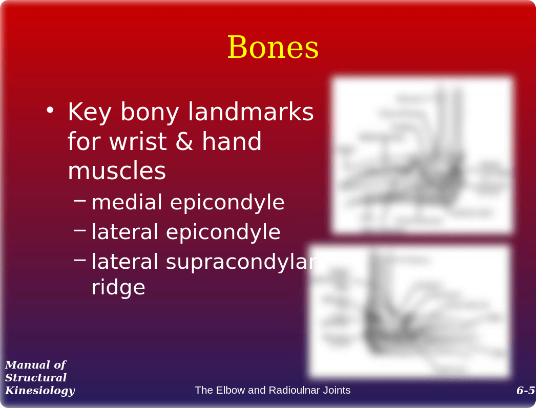 6 Elbow and Redioulnar Joint_deyhrkke00j_page5