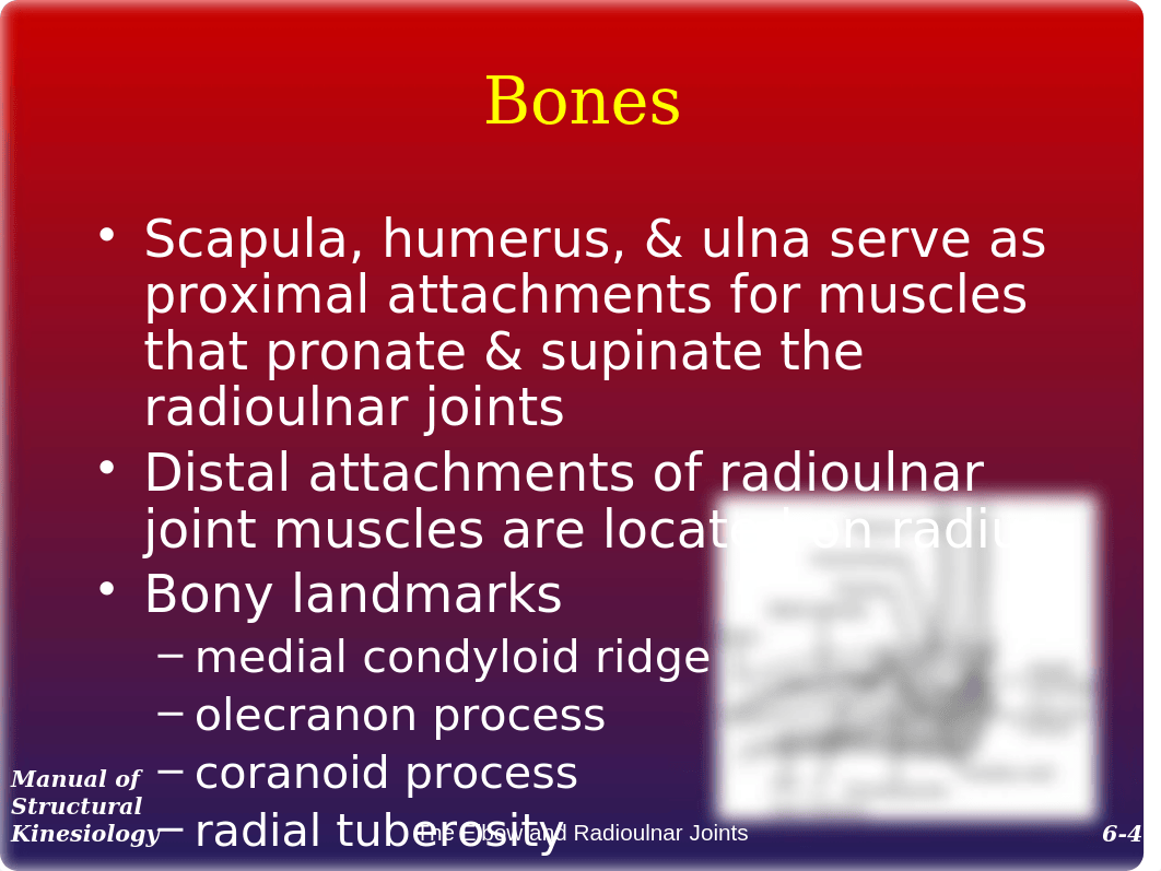 6 Elbow and Redioulnar Joint_deyhrkke00j_page4