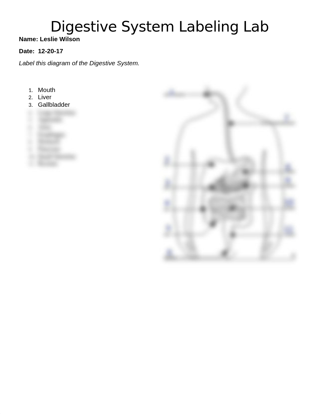 Digestive System Labeling_deylt24fk1d_page1