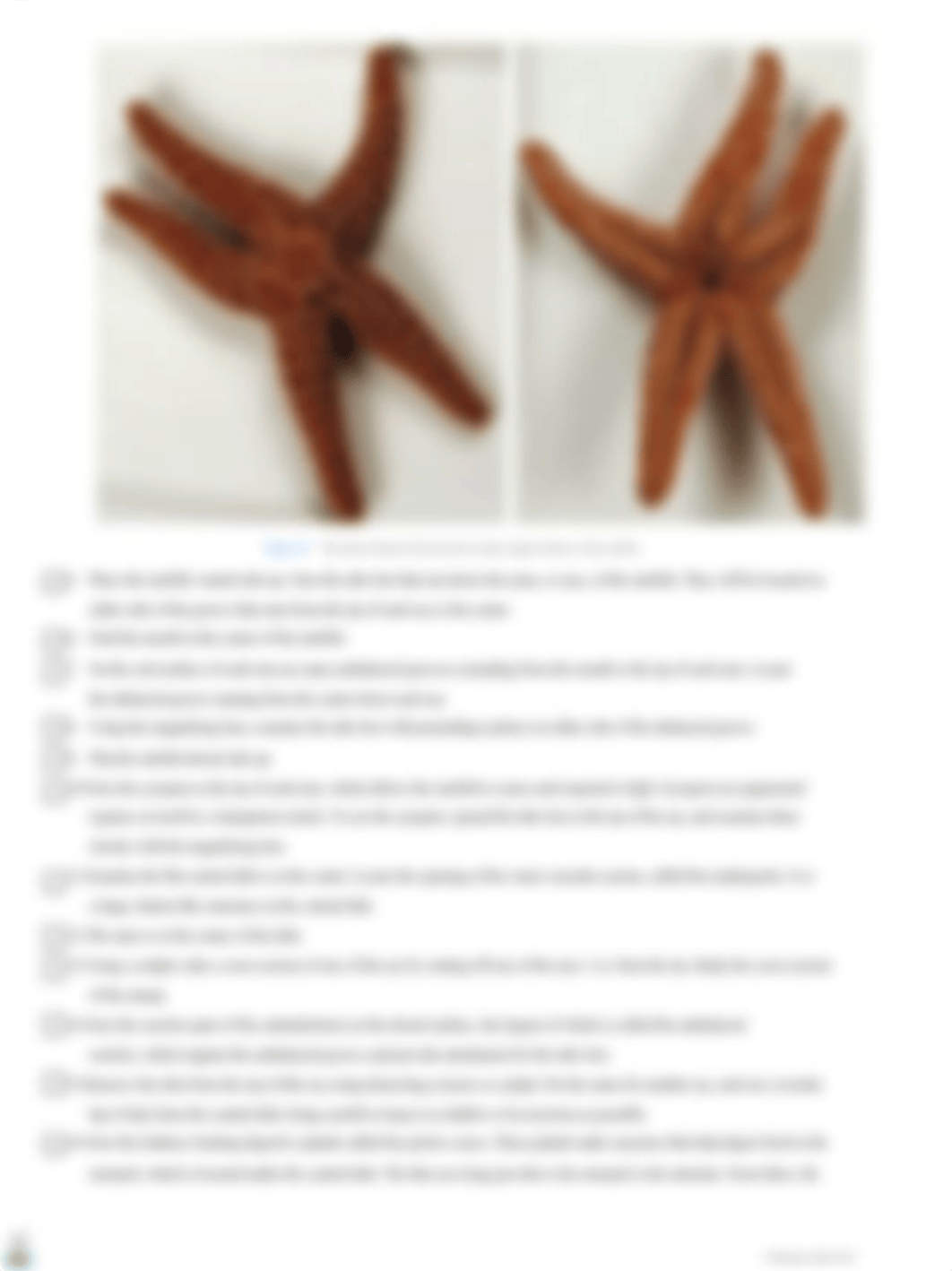 Experiment 5 Starfish Dissection.docx_deynq26n3m2_page2