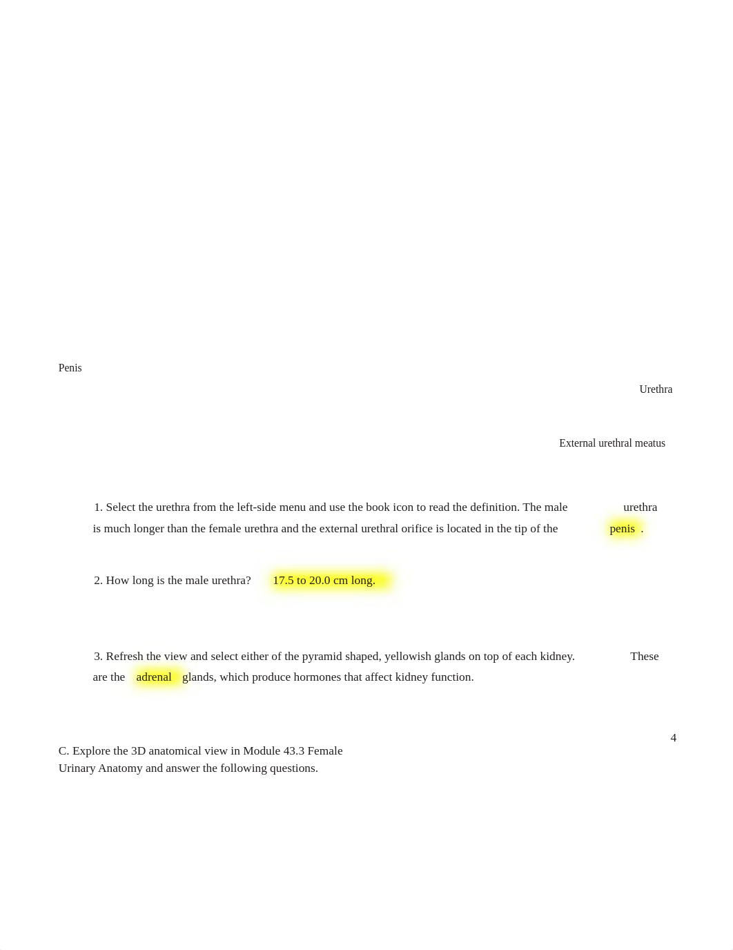 UrinarySystemLab-2.pdf_deynytgtr47_page4