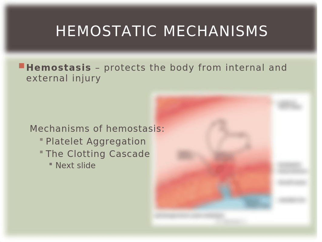 Medications+Affecting+the+Hematologic+System.pptx_deyo3cspvf3_page2